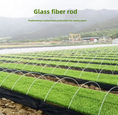 Supporto leggero della vetroresina FRP Rod For Agricultural Greenhouse Tunnel