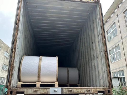 Il tempo FRP resistente ha rinforzato il polimero di rinforzo vetroresina di plastica del membro