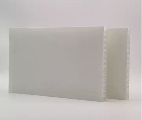 La vetroresina leggera su misura del polipropilene ha rinforzato il pannello del favo per Shuttering di plastica