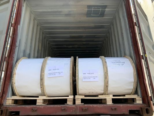 Il colore non metallico del membro di FRP ha modellato la galvanizzazione della pittura